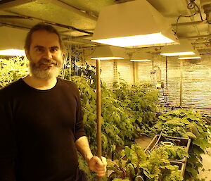 Darron Lehmann in hydroponics