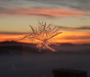 Ice patterns on glass