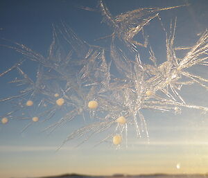 Ice pattern on window