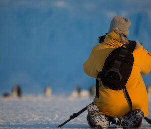 Photography at Auster — an expeditioner kneels on the ice with his back facing the camera, taking photos of emperor penguins which can be seen in the background
