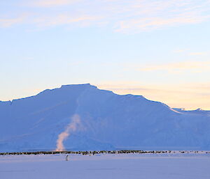 Emperor penguins huddled at rookery with a large plume of steam coming out from the centre created by their body heat