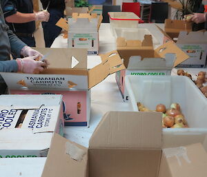 Sorting onions at a table to remove damaged ones