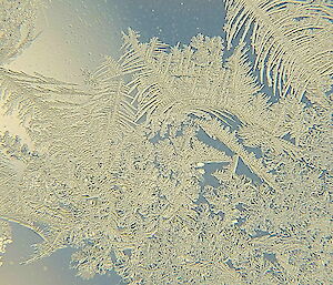 Ice crystals that resemble fern leaves