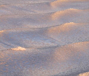 Pancake ice creates a frozen wave pattern