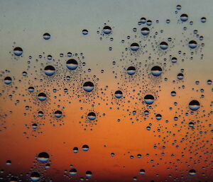 Ice droplets on a window (thawed ice crystals) backlit by sunset