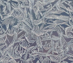 Ice crystals that look like fine, white feathers