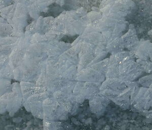 Ice crystals on ice bubbles