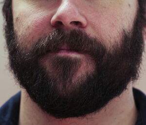 Photo of a man’s face from the nose down with a dark and cropped beard.