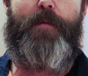Photo of a man’s face from the nose down with a little bit of grey in the beard.