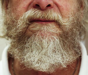 Photo of a man’s face from the nose down with a ginger and white beard.