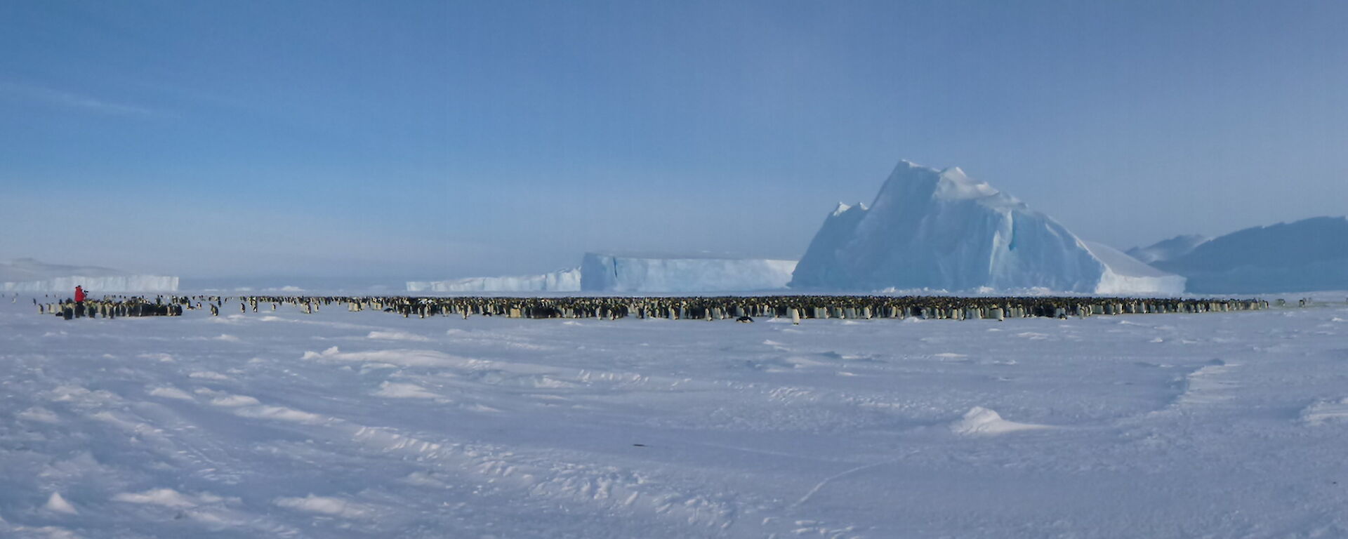 Emperor penguins by the hundreds in a huddle with big ice formations in the background.