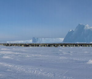 Emperor penguins by the hundreds in a huddle with big ice formations in the background.