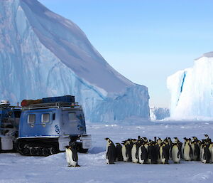 Emperor penguins line up metres behind the blue Hagg vehicle.