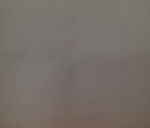 Entirely white photo that is all that can be seen during a white out.