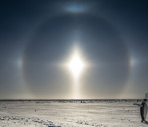 Sun halo with a penguin in the corner of the shot