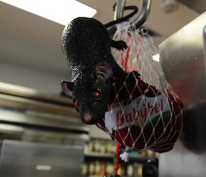 Plastic rat hanging off a bag of round cheeses