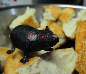 Plastic rat on top of bread