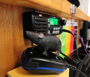 Plastic rat on top of the radio handset.