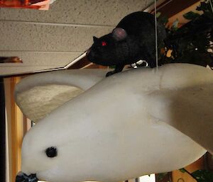 Plastic rat on toof a stuffed model of a snow petrel.