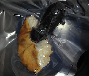 Plastic rat with a piece of cake inside a vacuum sealed bag.
