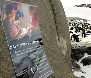 Film poster stuck to a rock surrounding by penguins