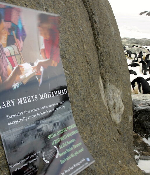 Film poster stuck to a rock surrounding by penguins