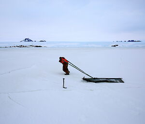 Man hauling door