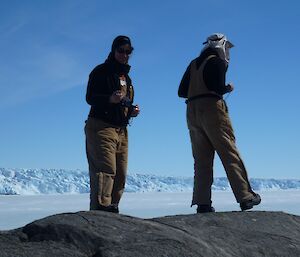 Counting penguins in Rookery Islands