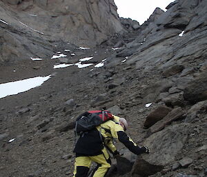 Mal on scree slope