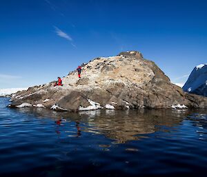 Penguin rookery on island