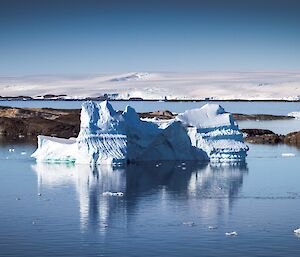 Bergs and Islands where birds love to hang out.