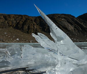 Large ice crystals thrusting upwards from the water’s surface