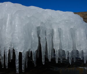 Icicles on coastal ice, flowing over the side