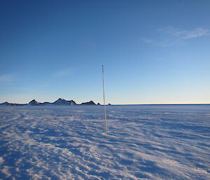 A lone cane pole marking the navigational route surrounded by snow