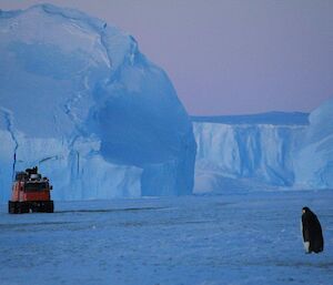 An emporer penguin walking toward a Hägglunds