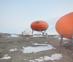 A closer view of the googies at Bechervaise Island