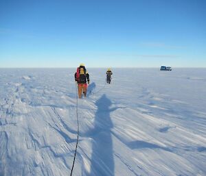 Two expeditioners make their way back to the Hägglunds after inspecting the cane line