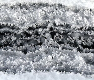 Ice crystals in the tide crack