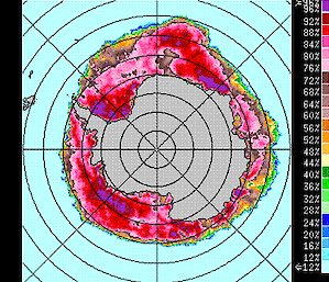 Satellite image showing the extent of sea ice in Antarctica