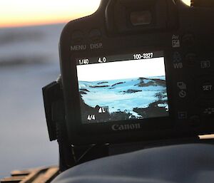 The view of Taylor Rookery emperor penguin colony as seen through a remote penguin camera