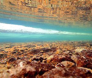 Beneath the icy waters of hanging Lake