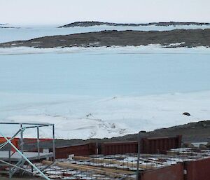 The view across the sea ice of Horseshoe Harbour