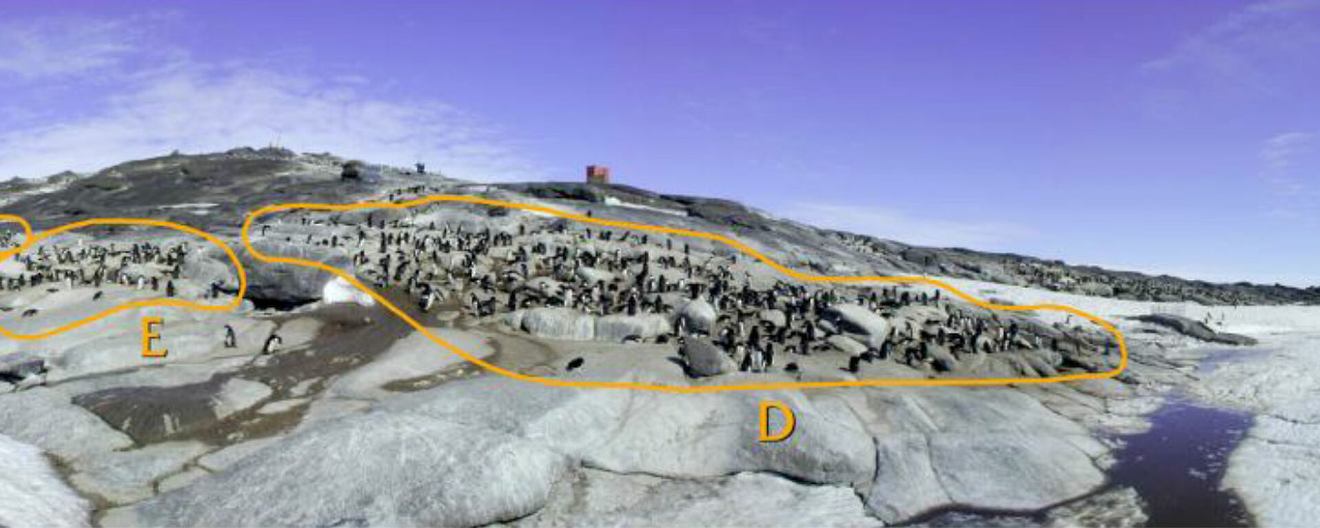 Adélie penguin colonies D, E & F
