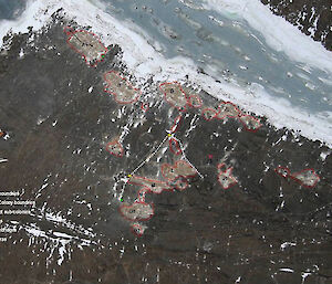 A satellite image of the Adélie penguin colonies on Bechervaise Island with each colony marked with a red border. There are 18 colonies in total