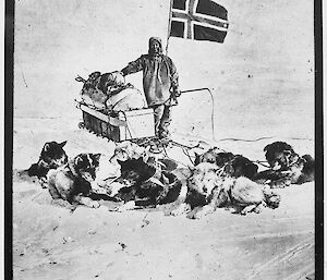 One of Amundsen’s dog sled teams at the South Pole — 1911