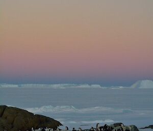 Adélie penguins at Macey hut with a typical pink and blue sky