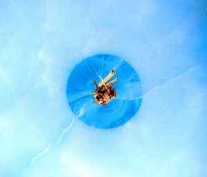Gorgeous shades of blue encircle a tire piercing ‘stubby’ (the base of a broken bamboo cane) sticking out of the ice.