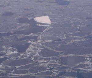 New ice in the form of pancake ice is forming and reforming near an iceberg as the Twin Otter fly’s overhead