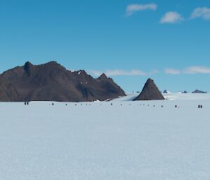 A panorama image of the ice covered Rumdoodle plateau showing newly placed flags