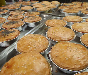 A tray of pies, some with sesame seeds and some with poppy seeds